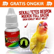 Leak POWER Buttonscarves BIOJANNA DOPING Lovebirds|Race Bird Hubcap|Ngekek|Casting LOVEBIRD DOPING