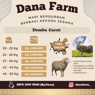 sale HEWAN QURBAN DOMBA / KAMBING KURBAN BOBOT 45 - 50 KG berkualitas