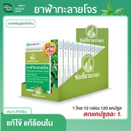 HandyHerb ช่อเขียวมะกอก ฟ้าทะลายโจร แก้ไข้ แก้ร้อนใน ชนิดแคปซูล จำนวน 1 กล่อง (12 แผง)