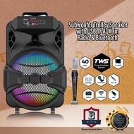 BOSTON 8 Inch 12 Inch Subwoofer Trolley Speaker with USB TF AUX Fm Radio & Bluetooth JBK Speaker ZQS