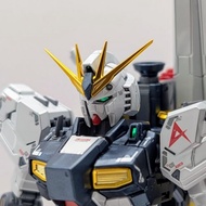 Changlong 5502D RG Nu Titanium finish model kit