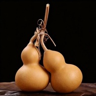 风水葫芦 龙头天然葫芦 Feng Shui Wu Lou Hu Lu Gourd Calabash Natural with head 5-8cm