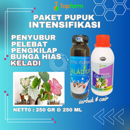Pupuk Tanaman Hias Keladi / Pupuk Untuk Tanaman Keladi / Pupuk Penyubur Bunga Keladi / Pupuk Bunga K
