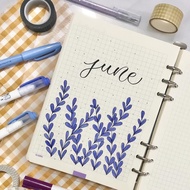 Caro notebook insert 5 colors 6x6mm A5/B5 size 120 pages