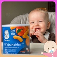 [ USA Baby Food] GERBER Lil Crunchies Teether Wheels 42g 8 months + Biscuit Snack Biskut Snek Bayi 8
