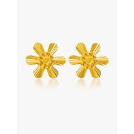 916 Gold Sunflower Earring