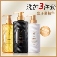 [Spot Goods] Tinglan Feixue Caviar Shampoo  Amino Acid Shower Gel Wash nursing suite Anti-dandruf an