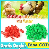 100 Pcs Adjustable Cincin Kaki Ayam Diameter dalam 1.8 ~ 2.6 cm Klip Nomor Gelang Kaki Bebek Burung