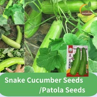 Snake Cucumber Seeds/Patola Seeds/Snake Melon Seeds เมล็ดแตงโมกรอบหวาน และ กะหล่ำปลีดองเย็นกับแตงโมก