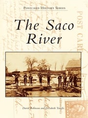 The Saco River David Robinson