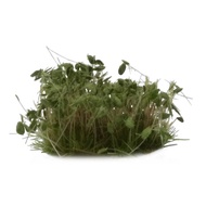 Gamers Grass - GGS-DG - Dark Green Shrubs