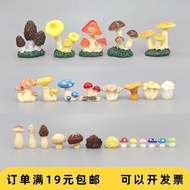 New artificial resin mushroom models (small mushrooms, shiitake mushrooms, enoki mushrooms) for micr