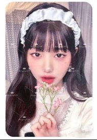 Ive sg2024 sw 特典小卡 Wonyoung 張元英