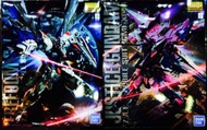 Bandai MG Gundam freedom & justice 自由2.0 + 正義 MG