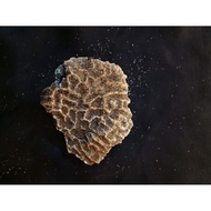 Unique natural stone A52