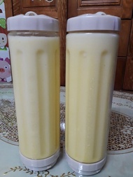 2-bottle blender