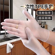 Disposable Gloves Housework Kitchen Food Grade TPE Waterproof Oil-Proof Grinding Removable Boxed Pro