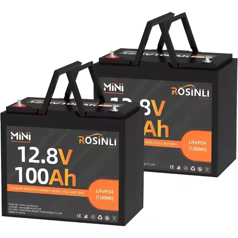 2Pack 12V 100Ah Mini LiFePO4 Battery, Smaller than Group 24 Built in BMS, 4000-15000 Deep Cycles, 10
