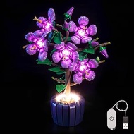 Lighting Kit Compatible with Lego 10372 Hibiscus Botanical Collection (No Model), Touch Dimmer, LED 