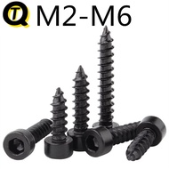 8.8 Grade Black Hexagon Socket Self-Tapping Screws (Ready Stock M3M4M5M6) Stainless Steel Wooden Scr