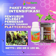 Pupuk Khusus Platycerium / Pupuk Platycerium Cair / Pupuk Platycerium Ridleyi / Pupuk Tanaman Platyc