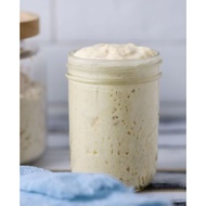 Sourdough Starter Fresh/Live (Not Powder)Natural Yeast Ready to use  10 year Old  Sourdough Starter 