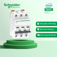 Cầu dao tự động ic60h 3P Schneider A9F84316 A9F84320 A9F84325 A9F84332 A9F84340 A9F84350 A9F84363