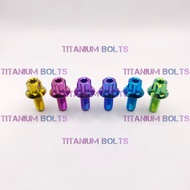 Original Titanium Bolts Salaya GR5 M6x10 M6X15 Bolts