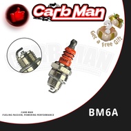 For STL BM6A  CHAMPION CJ8 RCJ8 Chainsaw Spark Plug BM6A Spark Plug LAWNMOWER WHIPPER SNIPPER NEW