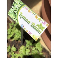 Lemon Balm Garden Plant Signage