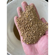 Small grain chicks food retail from 1kg high protein. fragrant