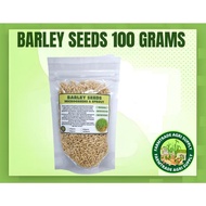 Barley Seeds (100 grams) for microgreens, sprouts and juicing