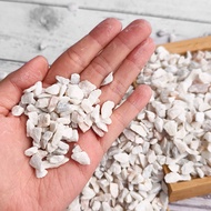 (20kg / 40kg) White Chipping Stone Batu Hiasan Putih River Pebble Stone Gardening Landscape Decorati