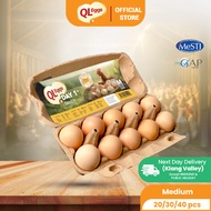 QL Sandy Day 1 Egg - Medium (20pcs/30pcs/40pcs) Fresh Egg Farm Fresh Egg Telur Segar