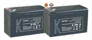 KSTAR UPS Battery (Fm Series)