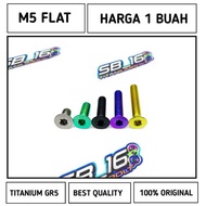 M5 FLAT BOLT GR5 TITANIUM BOLT (DRAT8)