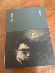黃碧雲 盧麒之死