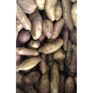 Yacon/Ubi Yakon Original Cameron Highlands(1kg)
