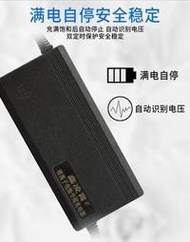 48V充电器星恒系列三元13串48V2a3a5a8a10A54.6V哈雷