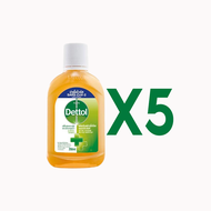 DETTOL HIGIENE MUIT-USE DISINFECTANT ฆ่าเชื้อ 99.9% ป้องกันไวรัส น้ำยาฆ่าเชื้อ 250มล.