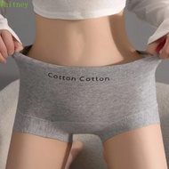 Whitney 3-Piece Brief Set - Seamless Cotton Underwear for Women