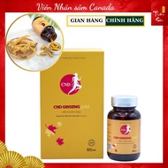 Viên uống nhân sâm Canada CND Ginseng Gold lọ 60 viên