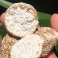 (express) Rice Husk Wine Yeast for Making Rice and Wine, Pre-ground Wine Yeast