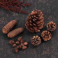 AZ Selling Pine Flowers Per Seed