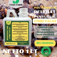 Pupuk Semprot Pelebat UMBI TALAS Pupuk Pelebat UMBI TALAS Pupuk Penyubur UMBI TALAS ZPT
