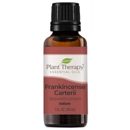 Plant Therapy Frankincense Carteri Essential Oil