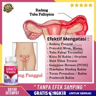 Obat Radang Panggul - Obat Herbal Buat Atasi Radang Panggul Sakit Panggul Nyeri Pinggul Infeksi Daer