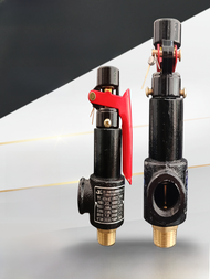 Safety Valve Spring Type Steam Boiler Storage Tank Pressure Relief Device Yanfeng A27W-16T Iron Cast