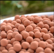 CERAMSITE CLAY PEBBLES LECA CLAY BALLS (1kg, 500g, 250g, 100g.)