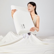 Asia -Duo Five-Star Hotel Same Pillow Memory Pillow Zero Pressure Slow Rebound Memory Foam Pillow Cervical Pillow Insert